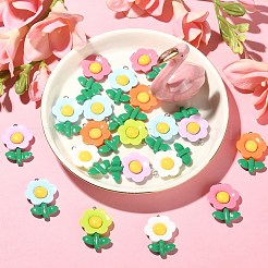 30pcs 6 couleurs pendentifs en résine opaque&nbsp;RESI-CJ0003-08
