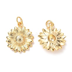 Messing Anhänger & Charms&nbsp;KK-G399-27