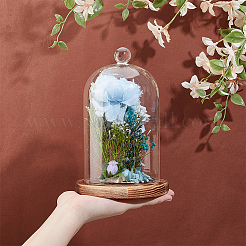 Copertura a cupola in vetro&nbsp;AJEW-WH0270-426