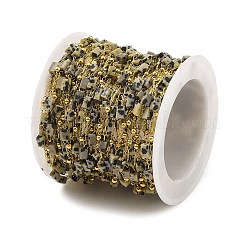 Catene a maglie in acciaio inossidabile placcate ionicamente (ip) 304&nbsp;CHS-A010-01G-08