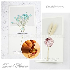 DIY Sammelalbum&nbsp;AJEW-WH0100-382