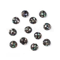 Synthetische Abalone-Muschel-/Paua-Muschelperlen&nbsp;LS-SSHEL-K001-001C