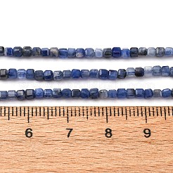 Natur Sodalith Perlen Stränge&nbsp;G-B142-C02-2x2mm