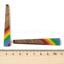 Colgantes de resina y madera de nogal con tema de arcoíris del orgullo&nbsp;WOOD-K012-10A