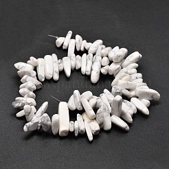 Natur howlite Chip-Perlen Stränge&nbsp;G-E271-53