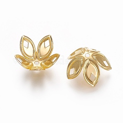 Chapeaux de perles de fer&nbsp;X-IFIN-L030-001G