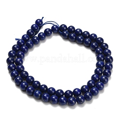 Natürlicher Lapislazuli Perlenstränge&nbsp;G-L642-B05-6mm