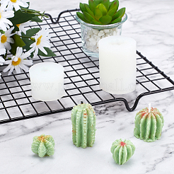 Kits de moules à plantes succulentes à faire soi-même&nbsp;DIY-GF0003-19