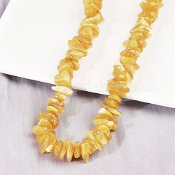 Collane di perline di ambra naturale&nbsp;NJEW-L466-03C