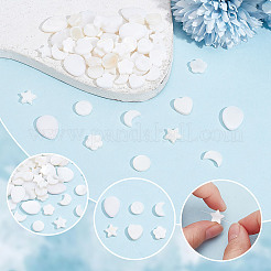 120 Stück 6 Stile natürliche Muschelperlen&nbsp;SHEL-GO0001-07