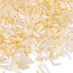 1200pcs 3 Farben Glashornperlen&nbsp;SEED-TADJ0001-02