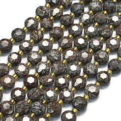 Natürliche rote Schneeflocke Obsidian Perlen Stränge&nbsp;G-C116-A11-02