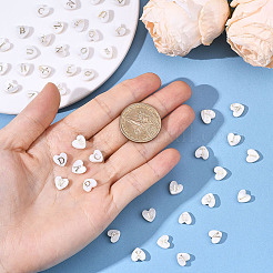 2 Strang natürliche weiße Muschelperlenstränge&nbsp;SHEL-SC0002-02