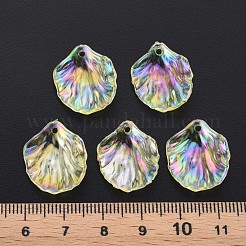 Pendentifs en acrylique transparent &nbsp;MACR-S373-73-C03