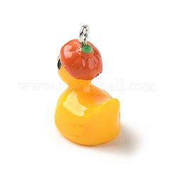 Pendentifs en résine opaque&nbsp;FIND-A058-07