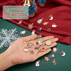 24pcs 12 pendentifs en émail en alliage de style&nbsp;FIND-CW0001-18