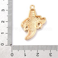 Emaille Anhänger Legierung&nbsp;FIND-M060-23E-G