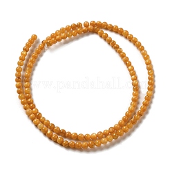 Eau douce naturelle de coquillage perles brins&nbsp;SHEL-H003-03E