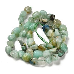Natürliche Chrysokolla und Lapislazuli Perlen&nbsp;G-P497-01E-41
