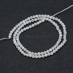 Brins de perles de pierre de lune arc-en-ciel naturel&nbsp;LS-G-E411-08-4mm
