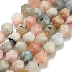 Naturperlen Stränge morganite&nbsp;G-H329-E03-10mm-02