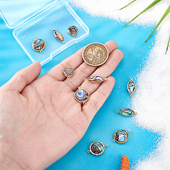 10 Stück 5 Stile Messing Pave natürliche Paua Muschel Verbinder Charms&nbsp;KK-PH0012-91B