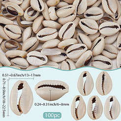 100 Stück natürliche Kauri-Muschelperlen.&nbsp;BSHE-LT0001-08