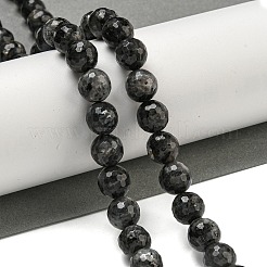 Brins de perles de larvikite naturelles&nbsp;G-E571-A09-03