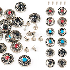 24 Stück 12 Stile Zinklegierung & synthetische türkisfarbene Knöpfe&nbsp;FIND-SW0001-35