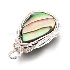 Pendentif coquille d'ormeau naturel / coquille paua&nbsp;PALLOY-JF00477-02