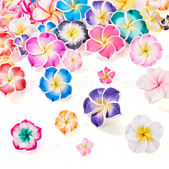 50pcs 5 Arten handgemachte Polymerton 3d Blume Plumeriaperlen&nbsp;CLAY-TA0001-68