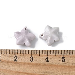 Dijes de ágata de alaska arcoíris natural&nbsp;G-G194-02B
