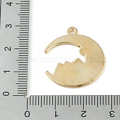 Eanaml-Anhänger aus Legierung im Tarot-Stil&nbsp;PALLOY-S184-02G-B