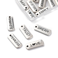 20 pièces 10 styles pendentifs en alliage de style tibétain&nbsp;TIBE-FP0001-14