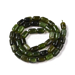 Fili di perle di giada canadese naturale&nbsp;G-G980-49A