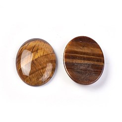 Natürlichen Tigerauge Cabochon&nbsp;G-F608-02B