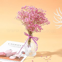 Ruban de raphia&nbsp;OCOR-I012-A13