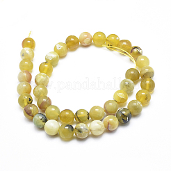 Natürliche gelb Opal runden Perle Stränge&nbsp;G-M296-02-10mm
