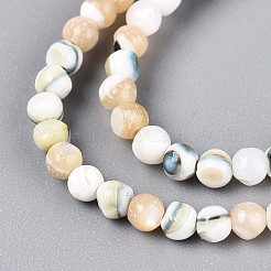 Leuchtende natürliche Muschelperlenstränge&nbsp;SSHEL-N040-05