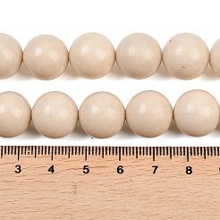 Natürlichen fossilen Perlen Stränge&nbsp;G-E110-14mm-2