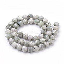 Natürliche Frieden Jade Perlen Stränge&nbsp;G-S259-25-6mm