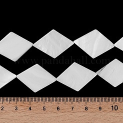 Natürlichen Süßwasser-Muschelperlen Stränge&nbsp;SHEL-A004-02