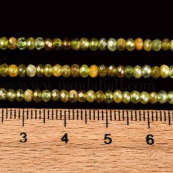 Facettierte Unterlegscheibe natürliche grüne Granatperlenstränge&nbsp;G-F289-40B