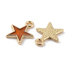 Legierung Emaille Anhänger / charms&nbsp;ENAM-WH0059-018G-06