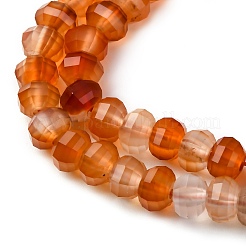 Chapelets de perles en cornaline naturelle&nbsp;G-P587-D06-01