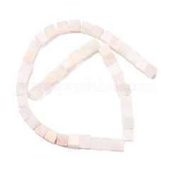 Natürliche Selenitperlenstränge&nbsp;G-B155-C08-8x8mm