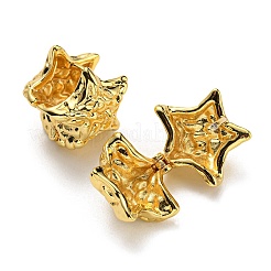 Orecchini a cerchio con stella&nbsp;EJEW-G355-04G