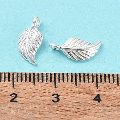 925 Sterling Silber Charme&nbsp;STER-E069-01S