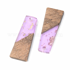 Pendenti in resina trasparente e legno di noce&nbsp;RESI-S389-040A-B01