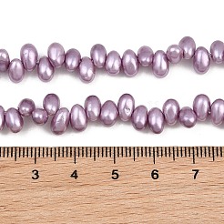 Perles de perles de coquille galvanoplastie&nbsp;BSHE-B009-A01-5x8mm-03